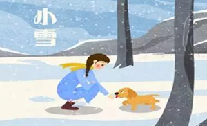 安氏亞森板材：小雪丨花開(kāi)天下暖，葉落天下寒